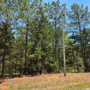Photo #6 of Chestnut Ridge, McCormick, SC 105.0 acres