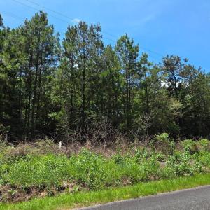 Photo #4 of Chestnut Ridge, McCormick, SC 105.0 acres