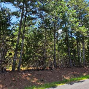 Photo #2 of Chestnut Ridge, McCormick, SC 105.0 acres