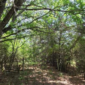 Photo #3 of 10a Chestnut Ridge, McCormick, SC