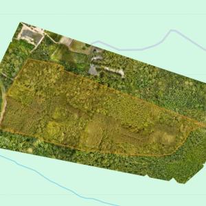 Photo #9 of Tbd Pea Ridge, Roper, NC 46.5 acres
