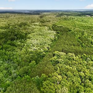 Photo #4 of Tbd Pea Ridge, Roper, NC 46.5 acres