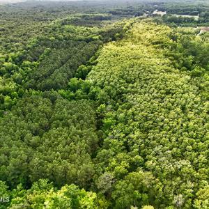 Photo #11 of Tbd Pea Ridge, Roper, NC 46.5 acres