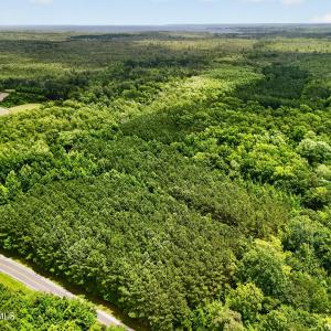 Photo #19 of Tbd Pea Ridge, Roper, NC 46.5 acres
