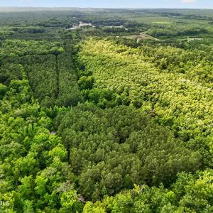 Photo #6 of Tbd Pea Ridge, Roper, NC 46.5 acres