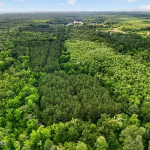 Photo #7 of Tbd Pea Ridge, Roper, NC 46.5 acres