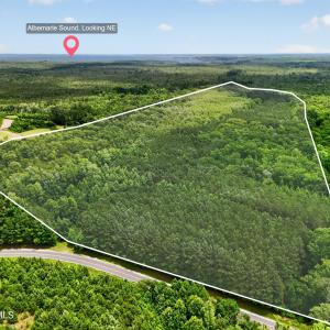 Photo #21 of Tbd Pea Ridge, Roper, NC 46.5 acres