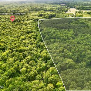 Photo #5 of Tbd Pea Ridge, Roper, NC 46.5 acres