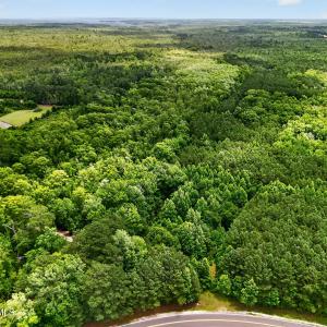 Photo #18 of Tbd Pea Ridge, Roper, NC 46.5 acres