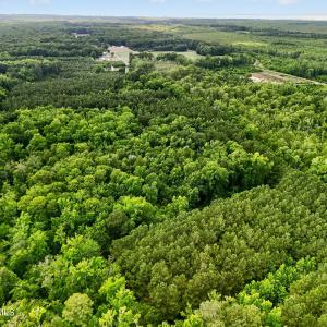 Photo #8 of Tbd Pea Ridge, Roper, NC 46.5 acres