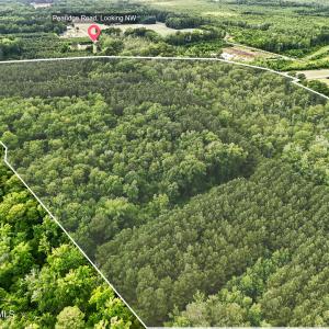 Photo #3 of Tbd Pea Ridge, Roper, NC 46.5 acres