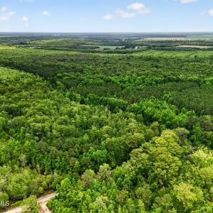Photo #23 of Tbd Pea Ridge, Roper, NC 46.5 acres