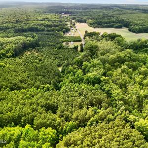 Photo #12 of Tbd Pea Ridge, Roper, NC 46.5 acres
