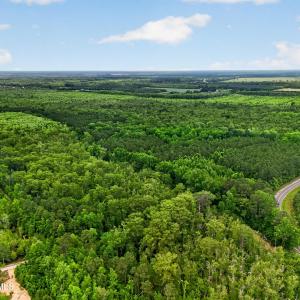 Photo #16 of Tbd Pea Ridge, Roper, NC 46.5 acres