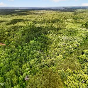 Photo #17 of Tbd Pea Ridge, Roper, NC 46.5 acres