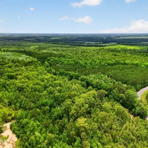 Photo #22 of Tbd Pea Ridge, Roper, NC 46.5 acres