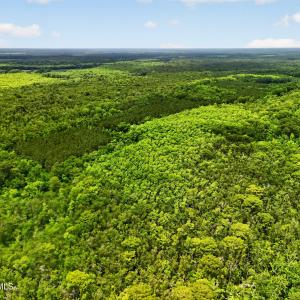 Photo #20 of Tbd Pea Ridge, Roper, NC 46.5 acres