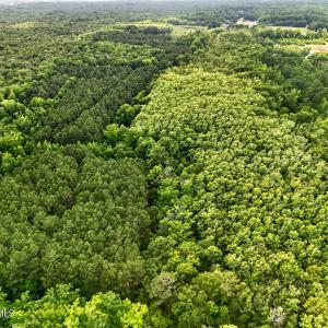 Photo #13 of Tbd Pea Ridge, Roper, NC 46.5 acres