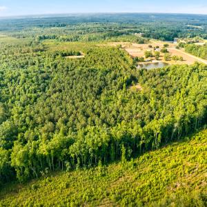 Photo #12 of 3232 Adams, Morven, NC 34.9 acres