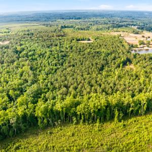 Photo #13 of 3232 Adams, Morven, NC 34.9 acres