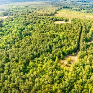 Photo #9 of 3232 Adams, Morven, NC 34.9 acres