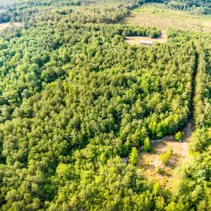 Photo #8 of 3232 Adams, Morven, NC 34.9 acres