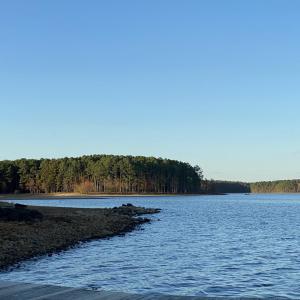 IMG_8835