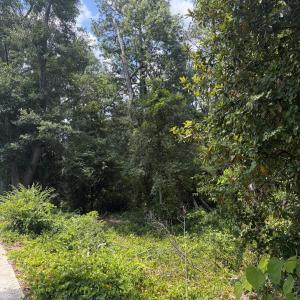 Photo #7 of Tbd Us-220, Ellerbe, NC 26.7 acres