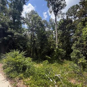 Photo #9 of Tbd Us-220, Ellerbe, NC 26.7 acres