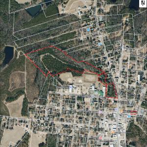 Photo #10 of Tbd Us-220, Ellerbe, NC 26.7 acres