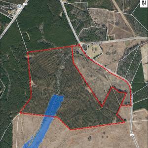 Photo #19 of Tbd Everett Chappell, Ellerbe, NC 213.0 acres