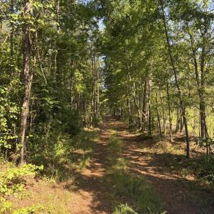 Photo #11 of Tbd Everett Chappell, Ellerbe, NC 213.0 acres