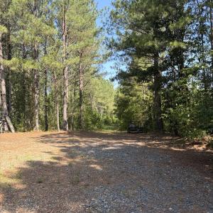 Photo #15 of Tbd Everett Chappell, Ellerbe, NC 213.0 acres
