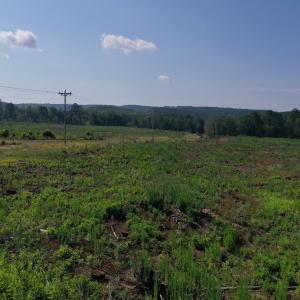 Photo #21 of Tbd Everett Chappell, Ellerbe, NC 213.0 acres