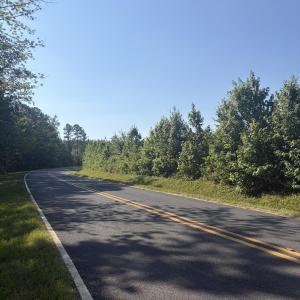 Photo #3 of Tbd Everett Chappell, Ellerbe, NC 213.0 acres