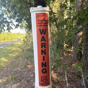 Photo #18 of Tbd Everett Chappell, Ellerbe, NC 213.0 acres