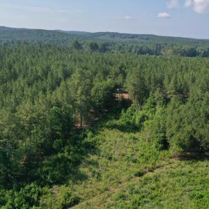 Photo #27 of Tbd Everett Chappell, Ellerbe, NC 213.0 acres