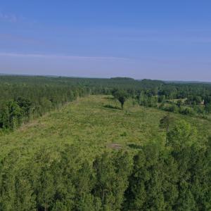 Photo #24 of Tbd Everett Chappell, Ellerbe, NC 213.0 acres