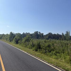 Photo #4 of Tbd Everett Chappell, Ellerbe, NC 213.0 acres