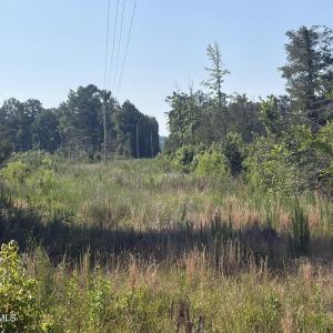 Photo #8 of Tbd Everett Chappell, Ellerbe, NC 213.0 acres