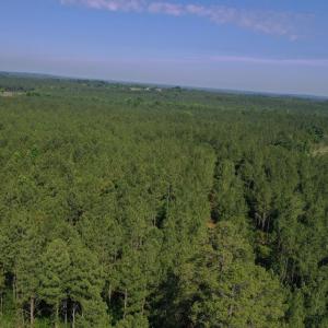 Photo #23 of Tbd Everett Chappell, Ellerbe, NC 213.0 acres