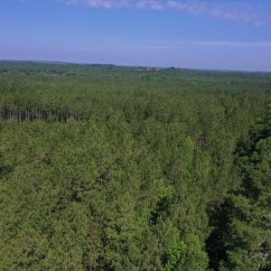 Photo #22 of Tbd Everett Chappell, Ellerbe, NC 213.0 acres