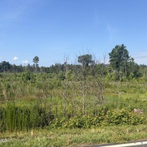 Photo #1 of Tbd Everett Chappell, Ellerbe, NC 213.0 acres