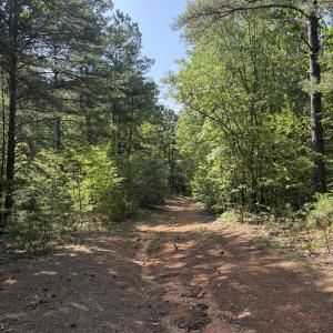 Photo #21 of Tbd Green, Ellerbe, NC 141.0 acres