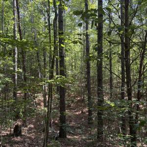 Photo #20 of Tbd Green, Ellerbe, NC 141.0 acres
