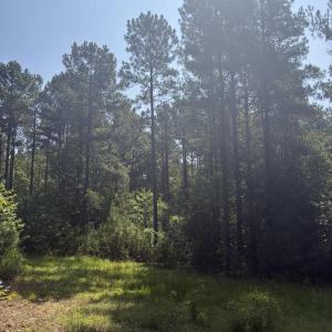 Photo #16 of Tbd Green, Ellerbe, NC 141.0 acres