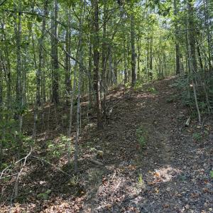 Photo #23 of Tbd Green, Ellerbe, NC 141.0 acres