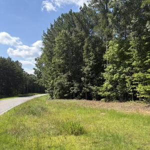 Photo #1 of Tbd Green, Ellerbe, NC 141.0 acres