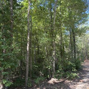 Photo #5 of Tbd Green, Ellerbe, NC 141.0 acres