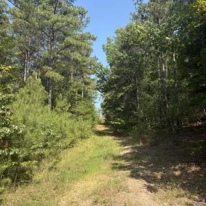 Photo #17 of Tbd Green, Ellerbe, NC 141.0 acres
